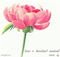 Comments, Graphics - Good Weekend 
